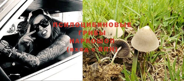 СК Беломорск