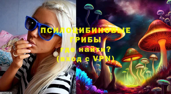 СК Беломорск