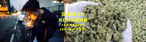спайс Тайга