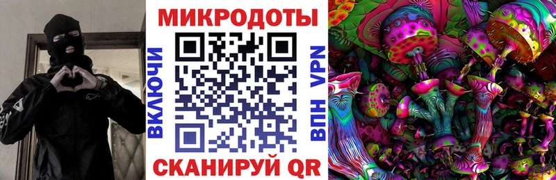 сколько стоит  Бугульма  MEGA зеркало  Псилоцибиновые грибы GOLDEN TEACHER 